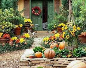 院子背阴的地方适合种什么菜