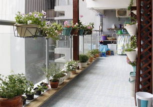 夏季宜居指南 阳台花园美家 网友淘出宁静家居