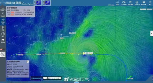 蓝色阴雨和蓝色风暴哪个更值得养