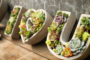 小女孩适合养什么品种的狗