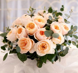 大花浓香灌木月季十大品种