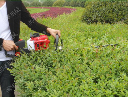 秋日胭脂如何修剪