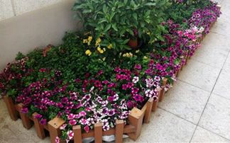 夏季怎么施肥 小心害死你的花