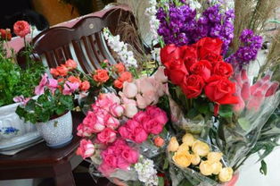 从花店买回来的花如何保养