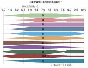 土壤究竟如何改良 先看懂它们之间的关系,事半功倍
