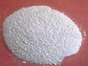 树木冬天刷石灰水有什么好处