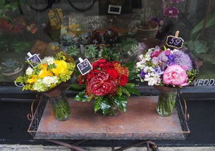 怎样养从鲜花店买来的百合花