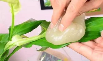 植物怎么都养不活 教你几招养护植物小贴士